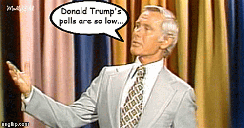 Johnny Carson Trump's polls | image tagged in gifs,johnny carson trump's polls,how low are they,trump's low polls,even trump the snake can't slither under them | made w/ Imgflip images-to-gif maker