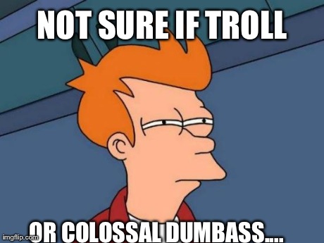 Futurama Fry Meme | NOT SURE IF TROLL OR COLOSSAL DUMBASS.... | image tagged in memes,futurama fry | made w/ Imgflip meme maker