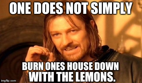 One Does Not Simply | ONE DOES NOT SIMPLY BURN ONES HOUSE DOWN WITH THE LEMONS. | image tagged in memes,one does not simply | made w/ Imgflip meme maker