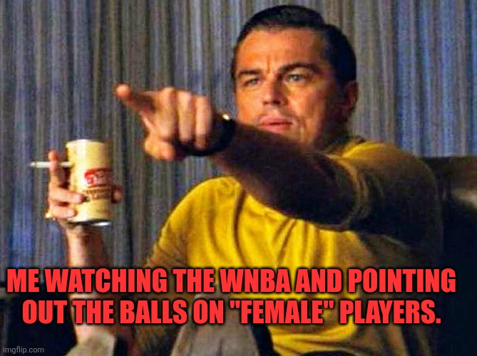 WNBA Balls | Me watching the WNBA and pointing out the balls on "Female" players. | image tagged in leonardo dicaprio pointing at tv | made w/ Imgflip meme maker