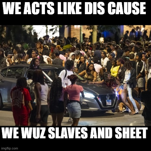 the rising trend of "teen take overs", black teens and young adults causing chaos... | We acts like dis cause; we wuz slaves and sheet | image tagged in stupid liberals,really nigga,knockout | made w/ Imgflip meme maker