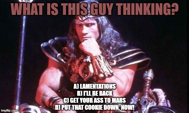 Arnold is a very complication person. | What is this guy thinking? A) Lamentations
B) I'll be back
C) Get your ass to Mars
D) Put that cookie down. Now! | image tagged in conan,terminator,kindergarten,total recall | made w/ Imgflip meme maker