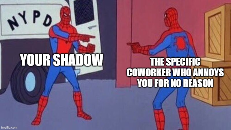 The Shadow | Your shadow; The specific coworker who annoys you for no reason | image tagged in spiderman pointing at spiderman,psychology | made w/ Imgflip meme maker