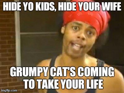 Puns..... | HIDE YO KIDS, HIDE YOUR WIFE GRUMPY CAT'S COMING TO TAKE YOUR LIFE | image tagged in memes,hide yo kids hide yo wife | made w/ Imgflip meme maker