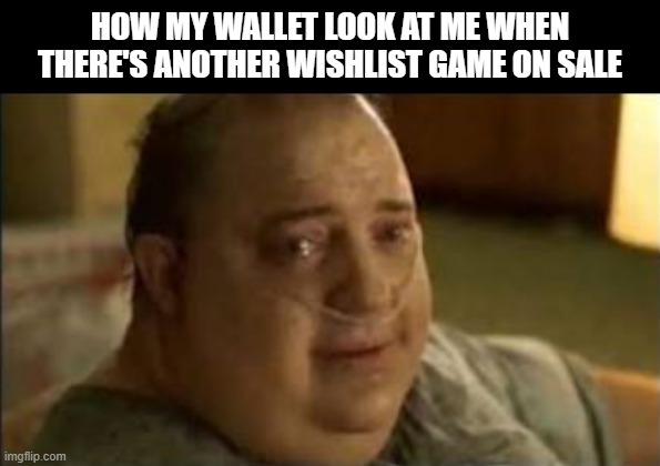 Sad on Life Support | How my wallet look at me when there's another wishlist game on sale | image tagged in sad on life support | made w/ Imgflip meme maker