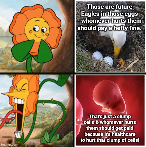 Funny how the unhatched eagle has more protection than the unborn child | Those are future Eagles in those eggs - whomever hurts them should pay a hefty fine. That's just a clump cells & whomever hurts them should get paid because it's healthcare to hurt that clump of cells! | image tagged in yelling flower reversed | made w/ Imgflip meme maker