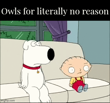 Family Guy owl meme - Stewie Activates Full Owl Mode