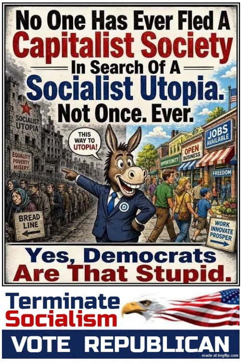 Yes, they're that stupid | aaabbbcccsss | image tagged in no socialism,no communism,no dsa,ban dsa,ban communism,ban socialism | made w/ Imgflip meme maker