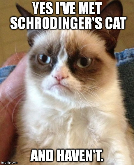 Grumpy Cat | YES I'VE MET SCHRODINGER'S CAT AND HAVEN'T. | image tagged in memes,grumpy cat | made w/ Imgflip meme maker