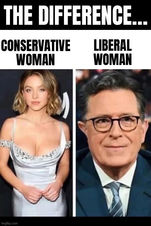 Jimmy Kimmel would also fall into that second category | The Difference… | image tagged in political,conservative woman,sydney sweeney,liberal woman,stephen colbert,differences | made w/ Imgflip meme maker