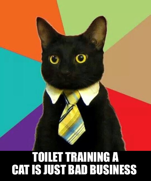 Toilet training a cat is just bad business | made w/ Imgflip meme maker