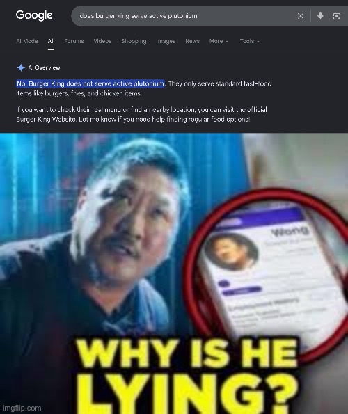 google ai sucks as usual | image tagged in why is he lying,i hate knitters | made w/ Imgflip meme maker