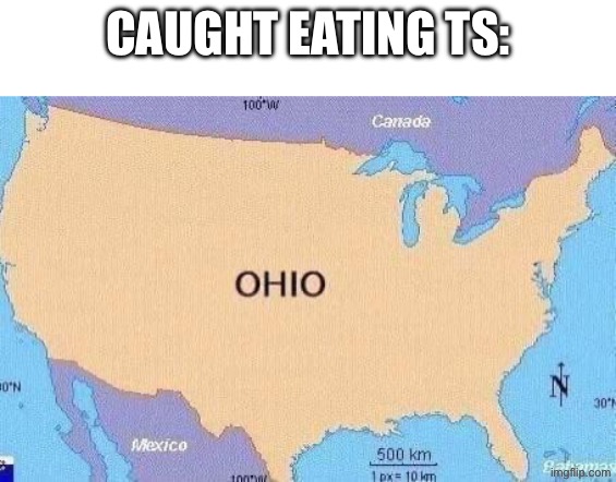 ohio | Caught eating ts: | image tagged in ohio | made w/ Imgflip meme maker