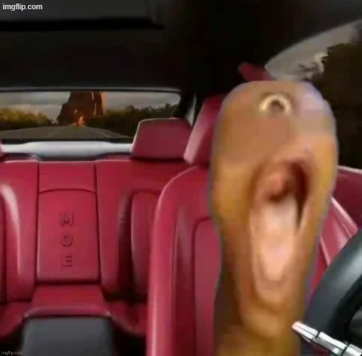 EL FIMBLE DINGLER | image tagged in el fimble dingler | made w/ Imgflip meme maker