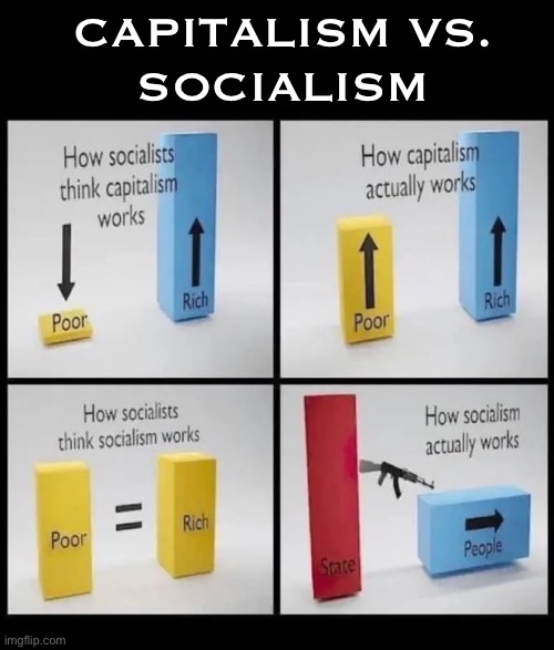 How it really is | Capitalism vs. 
Socialism | image tagged in anti communists,capitalism,socialism,what they think,how it really is,tyrants | made w/ Imgflip meme maker