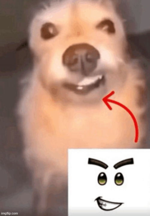 20260729_144926728_iOS.gif | image tagged in 20260729_144926728_ios gif | made w/ Imgflip meme maker