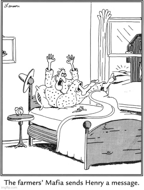 They play rough! | image tagged in the far side,comics,farmers,mafia,message,chicken head | made w/ Imgflip meme maker