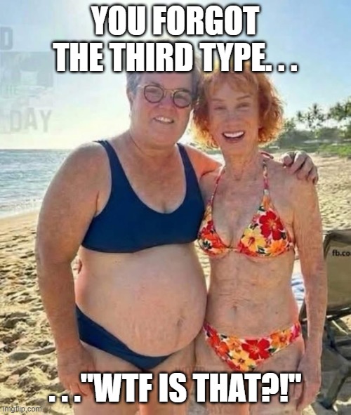 you forgot the third type. . . . . ."WTF IS THAT?!" | image tagged in rosie o donnell | made w/ Imgflip meme maker