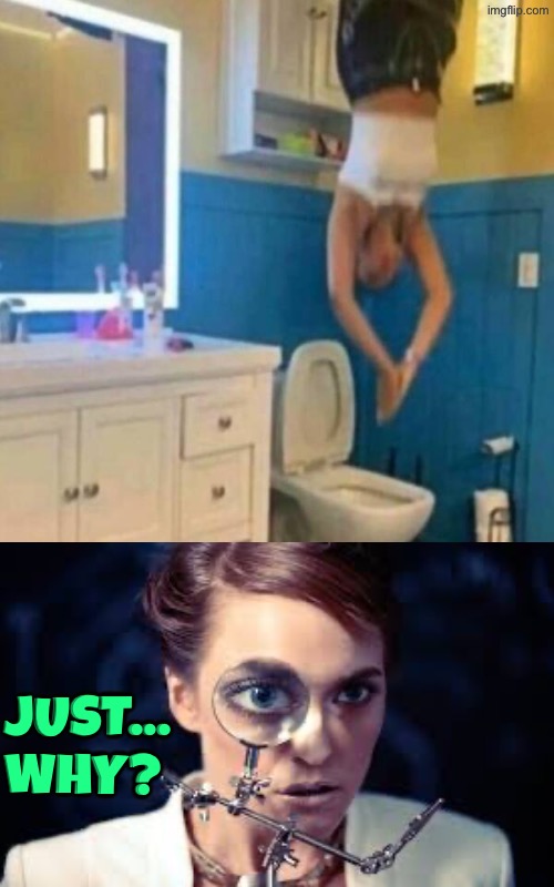 Just Why? | Just... Why? | image tagged in just why,toilets,upside-down,excuse me wtf,why can't you just be normal,duhhh dumbass | made w/ Imgflip meme maker
