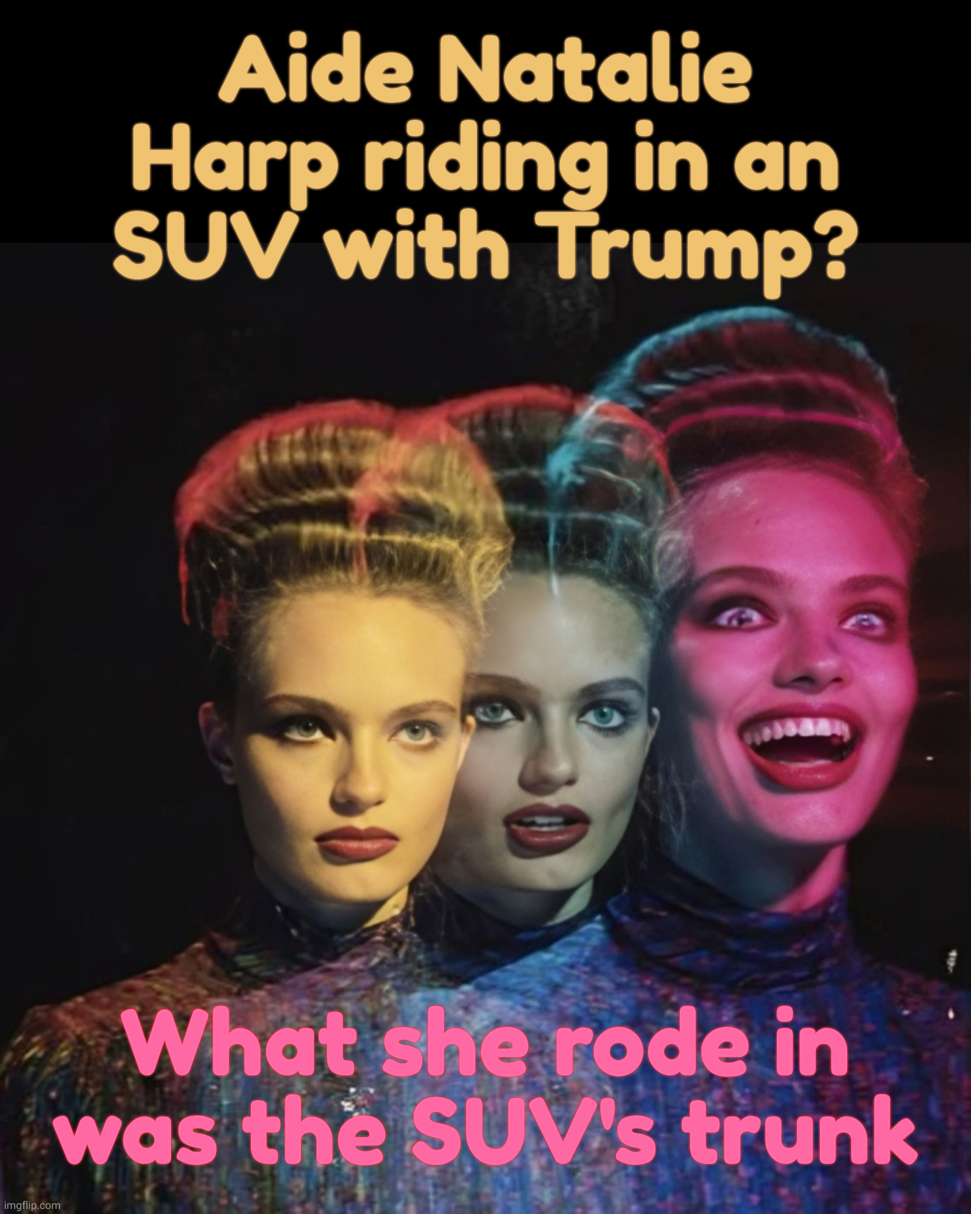 Hardy har har II | Aide Natalie Harp riding in an
SUV with Trump? What she rode in was the SUV's trunk | image tagged in hardy har har ii | made w/ Imgflip meme maker