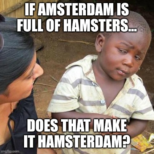 Hamsterdam | If Amsterdam is full of hamsters... Does that make it hamsterdam? | image tagged in memes,third world skeptical kid,hamsters,amsterdam | made w/ Imgflip meme maker