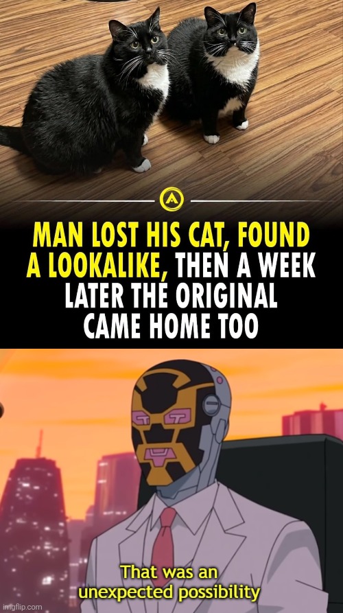That was very unexpected. | image tagged in that was an unexpected possibility,cats | made w/ Imgflip meme maker