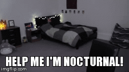 Dan is nocturnal | image tagged in gifs,first world problems | made w/ Imgflip video-to-gif maker