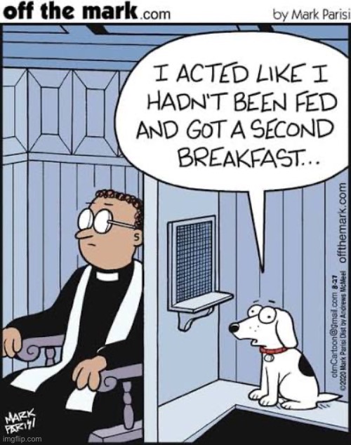 Dog confession | image tagged in repost,comics,off the mark,dog,confession,breakfast | made w/ Imgflip meme maker