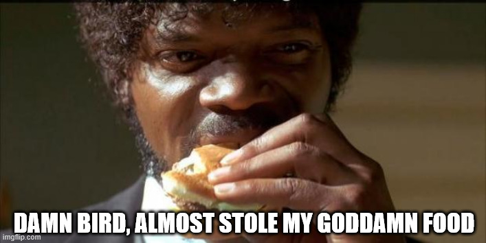 Tasty Burger | Damn bird, almost stole my goddamn food | image tagged in tasty burger | made w/ Imgflip meme maker