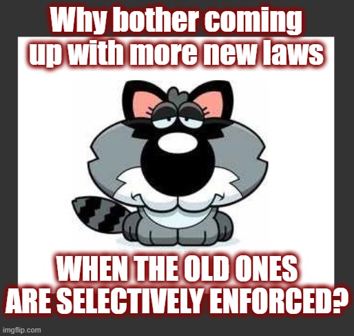 This is how the "elitist" class was able to take hold in the American culture. | Why bother coming up with more new laws; When the old ones are selectively enforced? | image tagged in politics,american politics,poliitcal corruption,maga,illegal immigration,it's the law | made w/ Imgflip meme maker