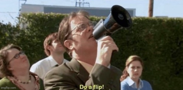 do a flip! | image tagged in do a flip | made w/ Imgflip meme maker