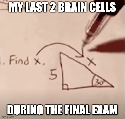 Final exams be like | My last 2 brain cells; during the final exam | image tagged in fun | made w/ Imgflip meme maker