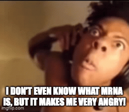 azfmam.gif