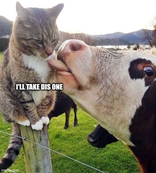 I'll take dis one | made w/ Imgflip meme maker