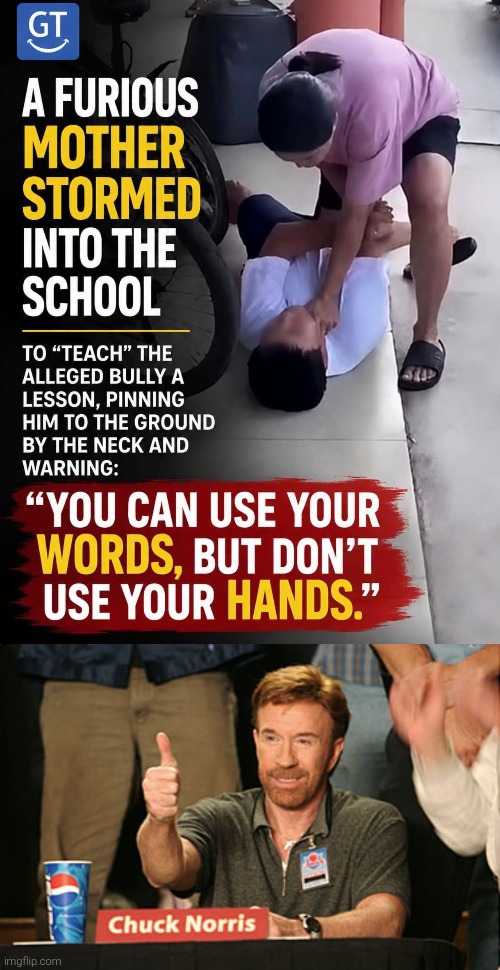 Best Mother ever! | image tagged in memes,chuck norris approves,mother,bully | made w/ Imgflip meme maker