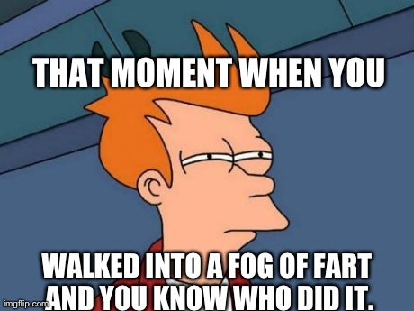 Futurama Fry Meme | THAT MOMENT WHEN YOU WALKED INTO A FOG OF FART AND YOU KNOW WHO DID IT. | image tagged in memes,futurama fry | made w/ Imgflip meme maker
