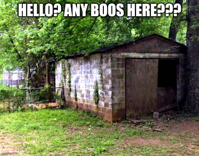 Hello? Any Boos Here? | Hello? Any Boos Here??? | image tagged in my cottage,mario,asthma | made w/ Imgflip meme maker