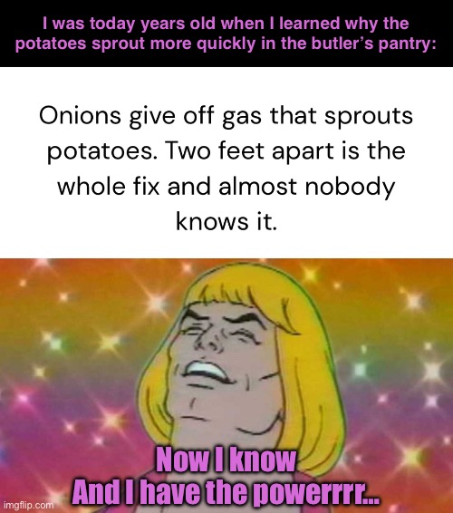 The more you know. | I was today years old when I learned why the potatoes sprout more quickly in the butler’s pantry:; Now I know
And I have the powerrrr… | image tagged in funny memes,kitchen savvy,onions,potatoes | made w/ Imgflip meme maker