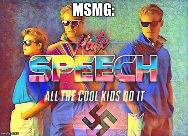 Fr | Msmg: | image tagged in hate speech is free speech,fr tho,hate speech,imgflip users,msmg,accurate | made w/ Imgflip meme maker