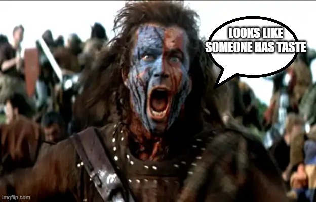 braveheart-mel-gibson.webp | looks like someone has taste | image tagged in braveheart-mel-gibson webp | made w/ Imgflip meme maker