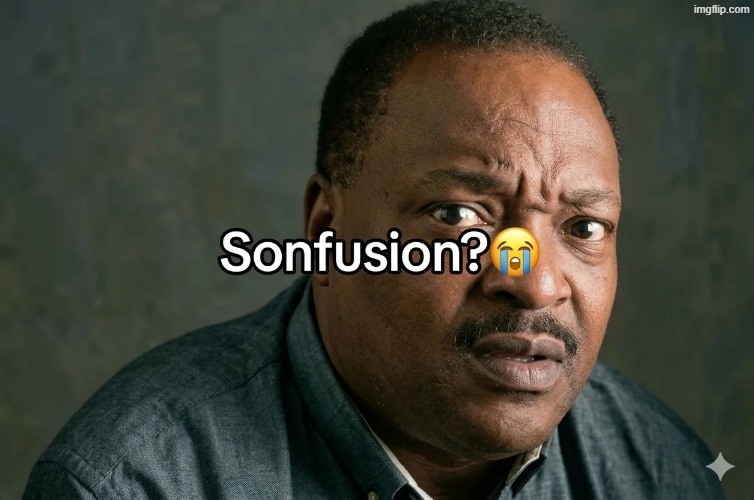 Sonfusion? | image tagged in sonfusion | made w/ Imgflip meme maker