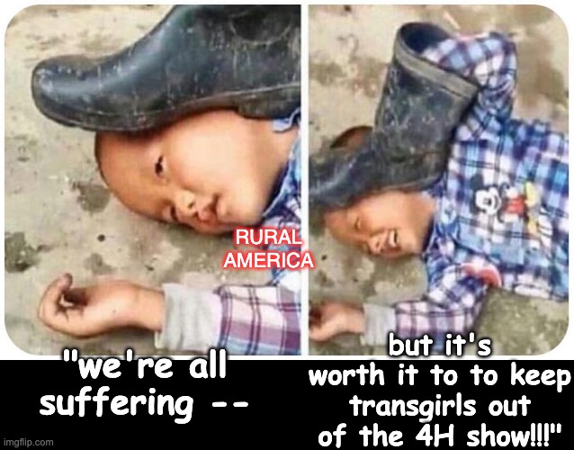 False flag | "we're all suffering -- but it's worth it to to keep transgirls out of the 4H show!!!" rural
america | image tagged in false flag | made w/ Imgflip meme maker