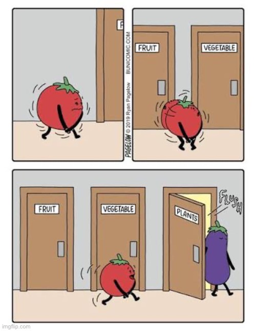 Decisions, decisions | image tagged in comics,buni comics,tomato,restroom,fruit or vegetable,plants | made w/ Imgflip meme maker