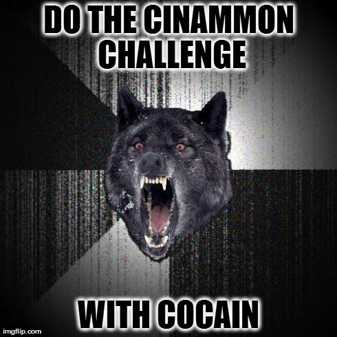 Insanity Wolf Meme | DO THE CINAMMON CHALLENGE WITH COCAIN | image tagged in memes,insanity wolf | made w/ Imgflip meme maker