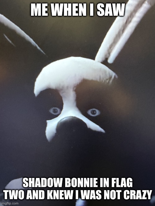 Fnaf | Me when I saw; Shadow Bonnie in flag two and knew I was not crazy | image tagged in the trap yard stare | made w/ Imgflip meme maker