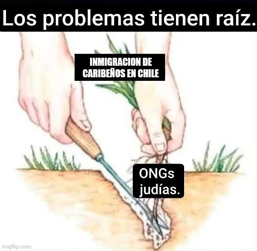 azpc02.jpg