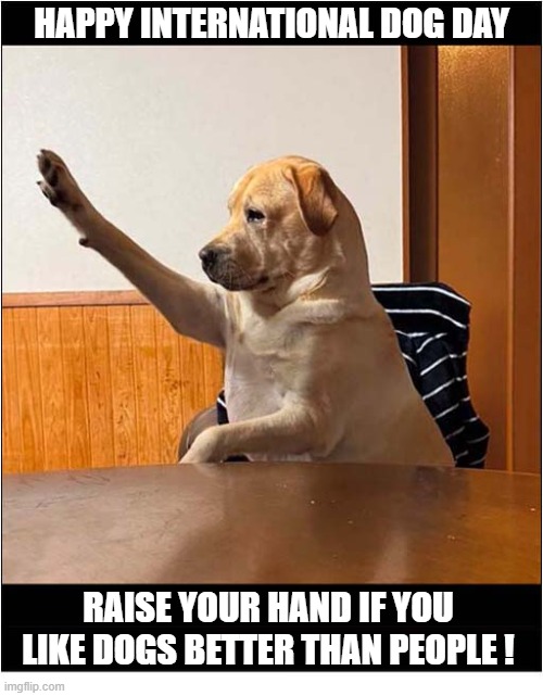 26th August - It's Their Day ! | Happy international Dog Day; Raise your hand if you like dogs better than people ! | image tagged in dogs,international dog day,26th august | made w/ Imgflip meme maker