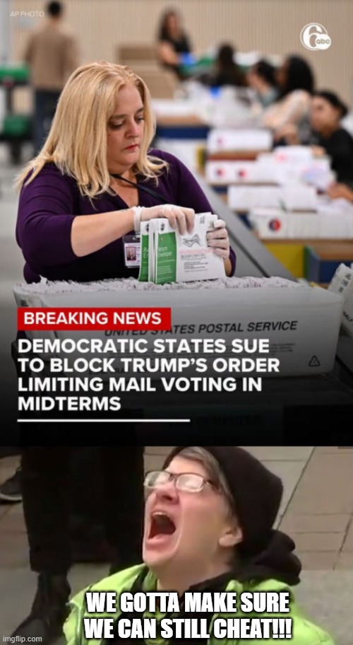 Dems Still Wanna Cheat I See | we gotta make sure we can still cheat!!! | image tagged in screaming liberal | made w/ Imgflip meme maker