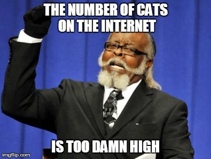 Too Damn High Meme | THE NUMBER OF CATS ON THE INTERNET IS TOO DAMN HIGH | image tagged in memes,too damn high | made w/ Imgflip meme maker