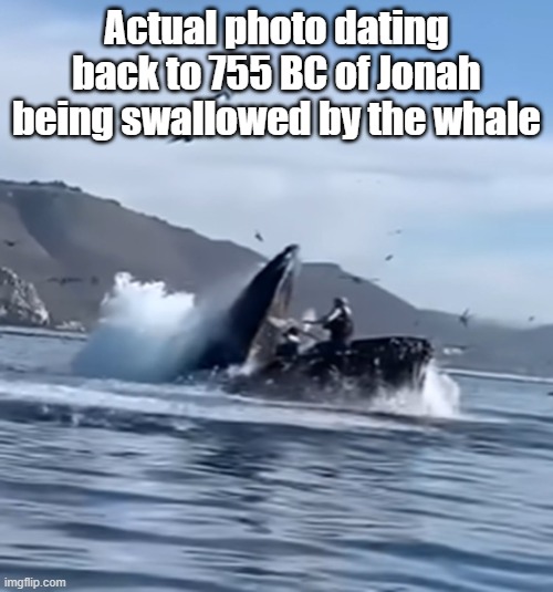 arudgkh.jpg | Actual photo dating back to 755 BC of Jonah being swallowed by the whale | image tagged in arudgkh jpg | made w/ Imgflip meme maker